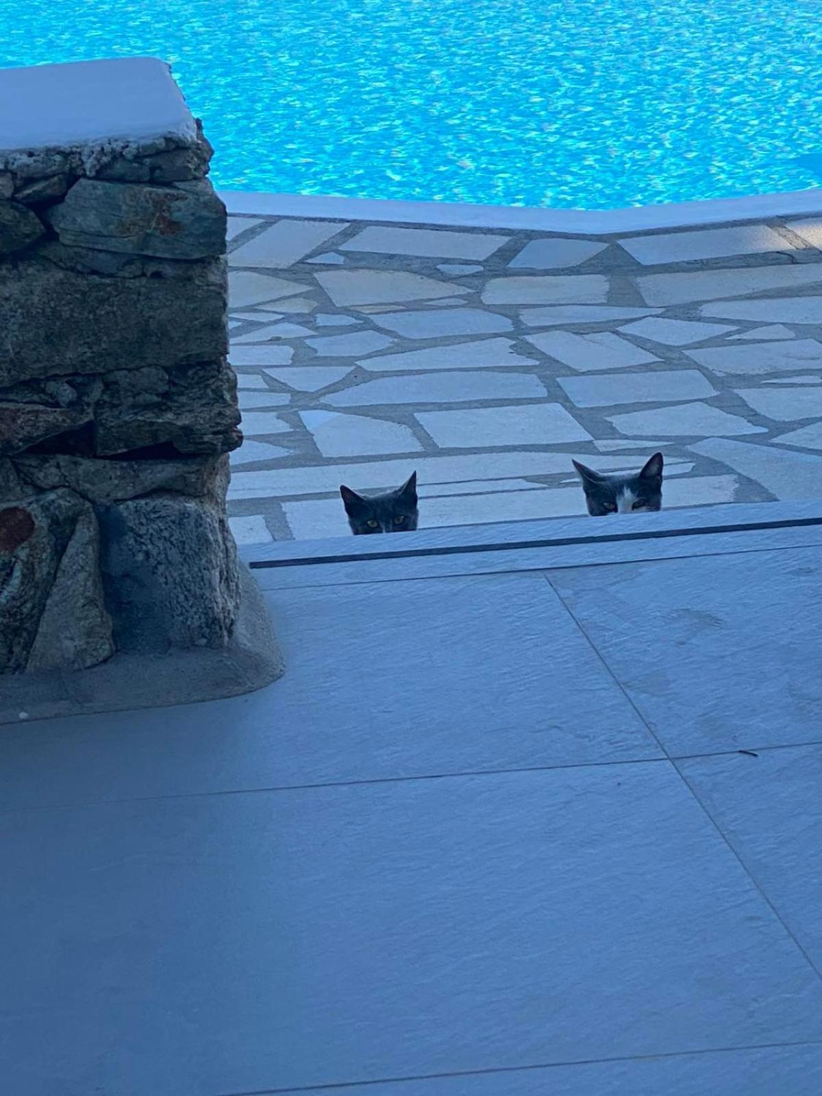 Cavo Blue Villas Elia  Eksteriør billede